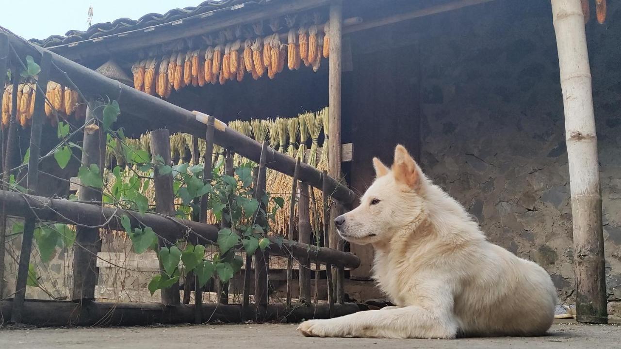 Hoang Cong Ban Gioc Homestay Cao Bang Εξωτερικό φωτογραφία